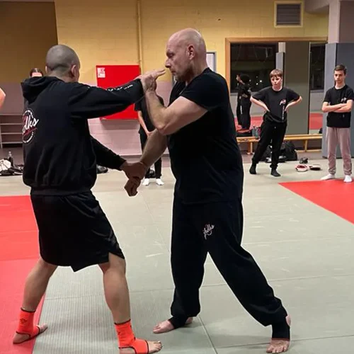 école mignolet de jeet kune do kali silat